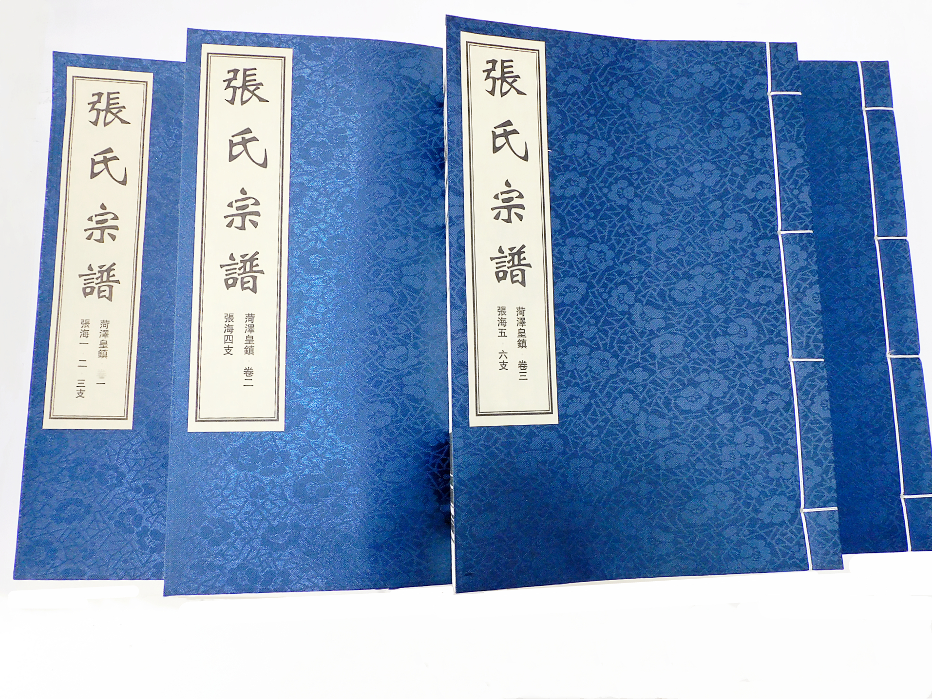 菏泽皇镇张氏家谱